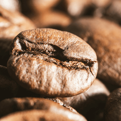 robusta kahve